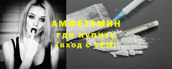 сатива Богданович
