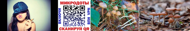 Псилоцибиновые грибы прущие грибы  купить  сайты  Торопец 