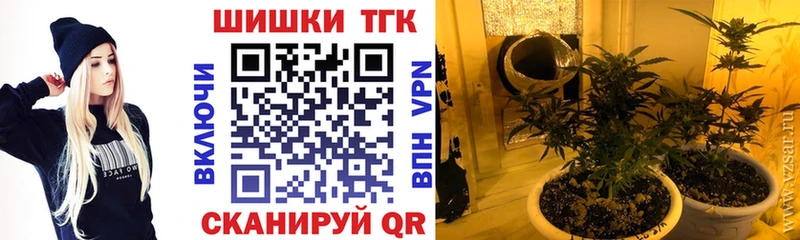 Шишки марихуана семена  купить закладку  Торопец 