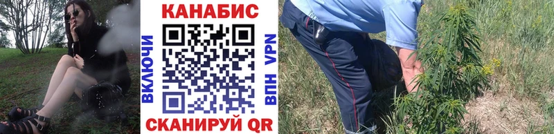 Бошки Шишки конопля Торопец